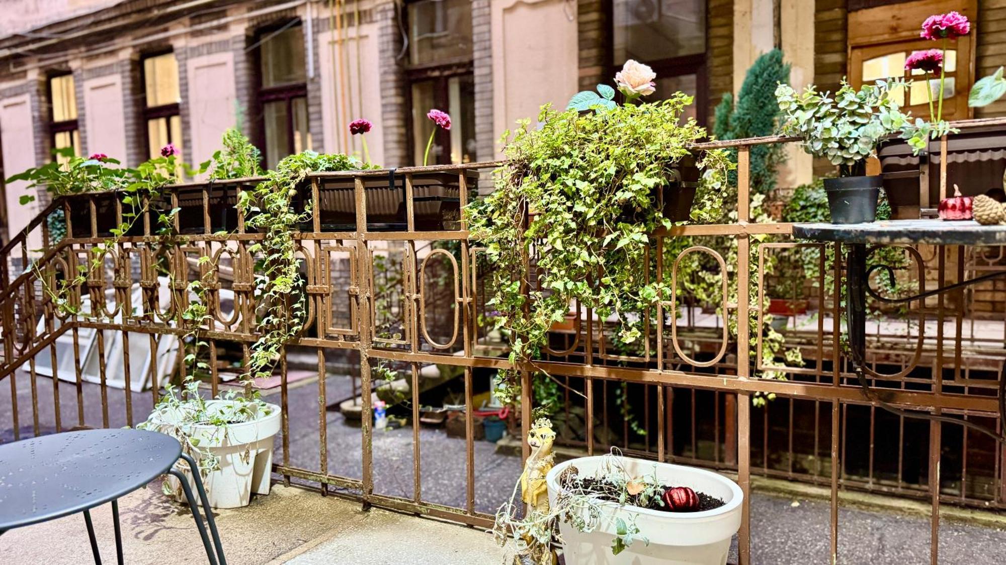 Fsf Boutique Apartament ティミショアラ エクステリア 写真